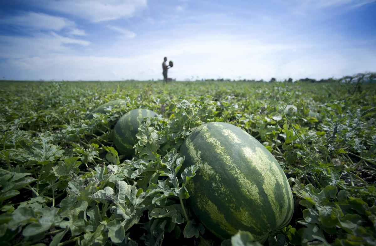 Фото иллюстрационное