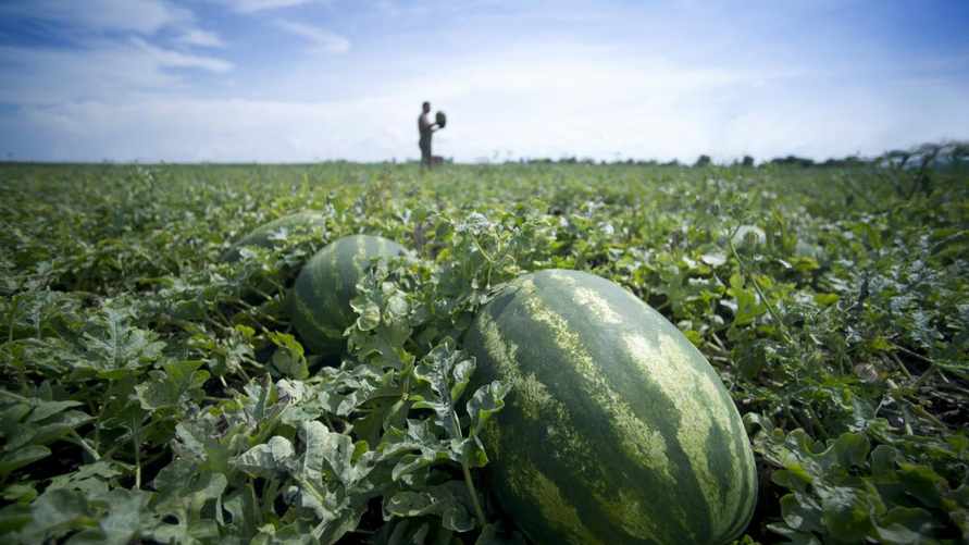 Фото иллюстрационное