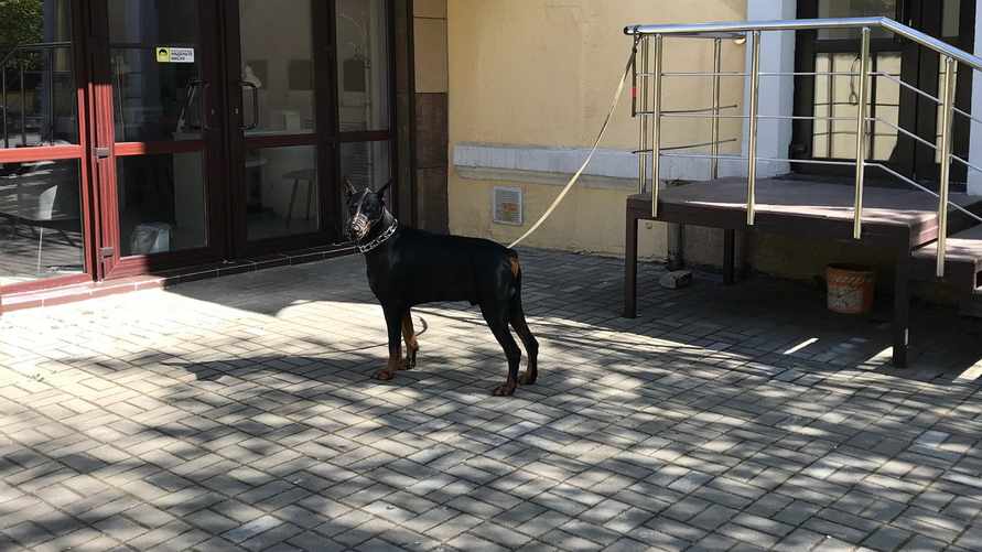 Фото: Телеграф