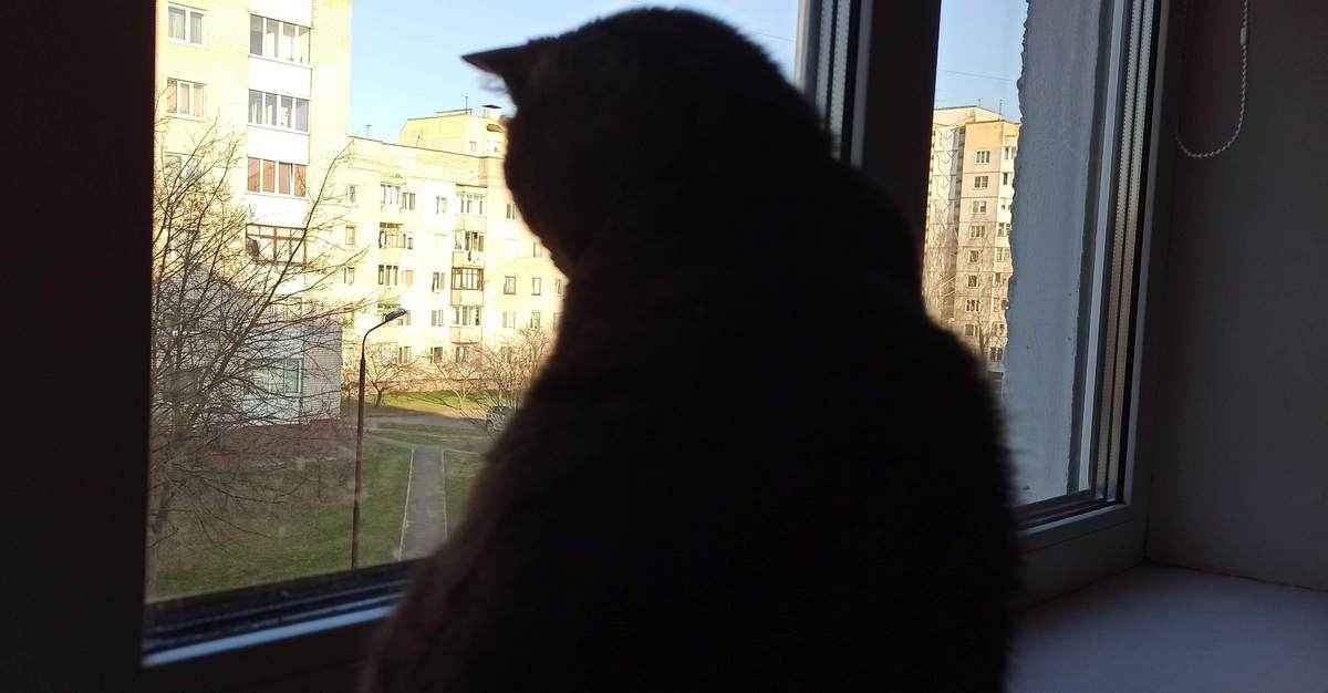 Фото: Телеграф