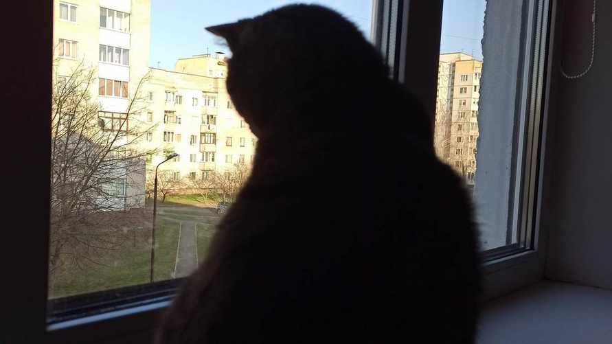 Фото: Телеграф