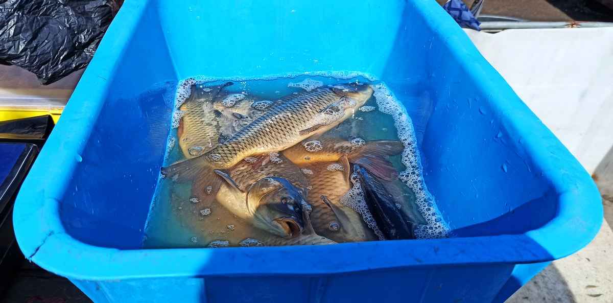 Фото: Телеграф