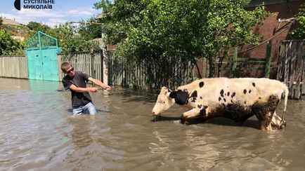 Правительство РФ запретило расследовать аварии на ГЭС за 7 дней до подрыва Каховской дамбы