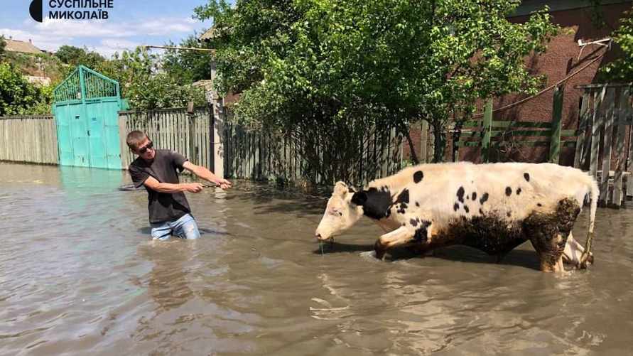 Правительство РФ запретило расследовать аварии на ГЭС за 7 дней до подрыва Каховской дамбы