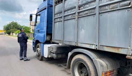 ГАИ Беларуси объявила о проверках грузовых автомобилей. Что их интересует?