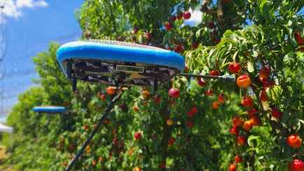 Израильская компания показала, как дроны заменили фермеров на сборе яблок