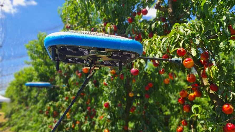 Фото: Tevel Aerobotics