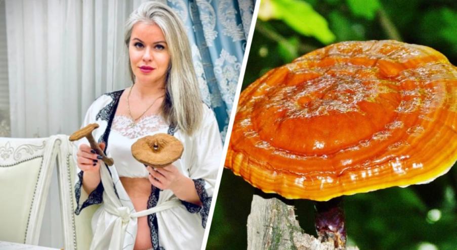 Какие грибы выросли в Беларуси в начале июня?