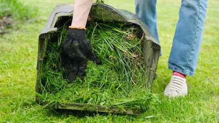 Выбрасываете скошенную траву? Напрасно. Узнали, как использовать ее на огороде с пользой
