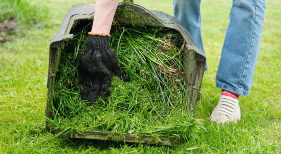 Эксперты уверяют — скошенная трава идеально подходит для