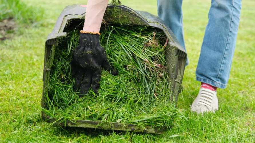 Выбрасываете скошенную траву? Напрасно. Узнали, как использовать ее на огороде с пользой
