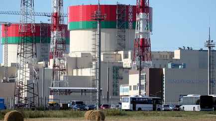 Президент Литвы потребовал признать БелАЭС «проблемой» всего ЕС