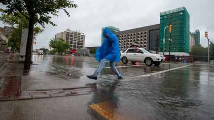 В Беларусь идут грозы — Учёные рассказали, как остаться сухим в ливень, если нет зонта