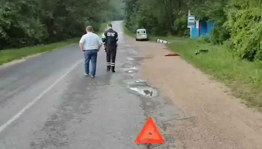 Фото: скриншот видео ГАИ