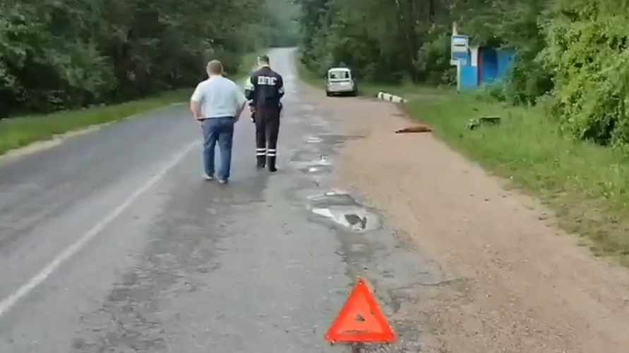 Фото: скриншот видео ГАИ