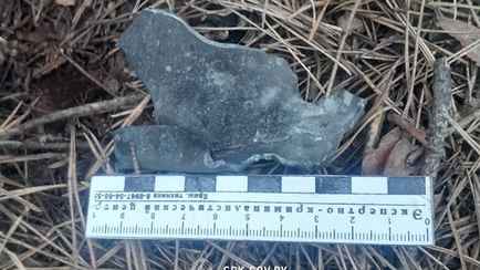 В ГПК показали, как сбили украинский беспилотник со взрывчаткой на белорусской границе