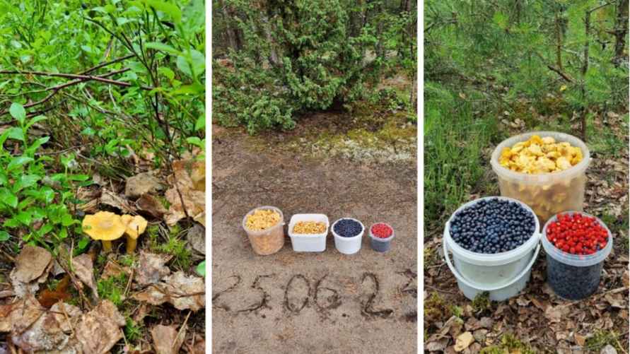 Фото Ольги Калиты