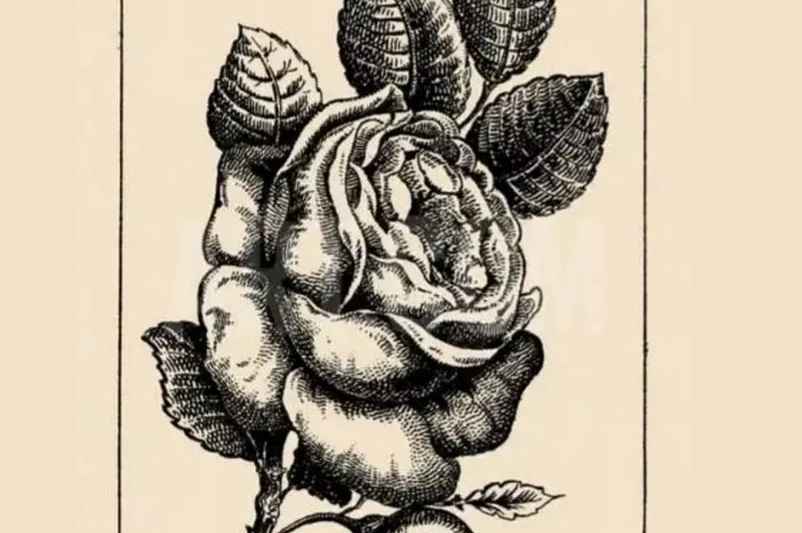 Полностью иллюстрацию смотрите ниже