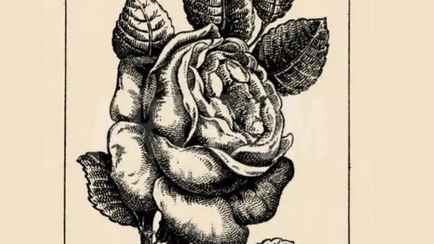 Только 1% людей может найти девушку на картинке с розой за 20 секунд. Проверьте себя