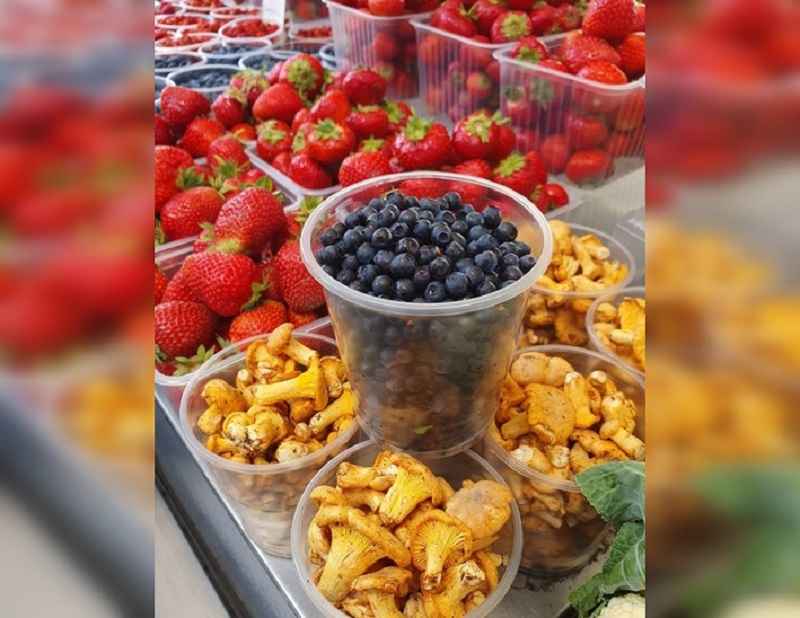 В три раза дороже прошлогодней? - В Минске начали продавать чернику