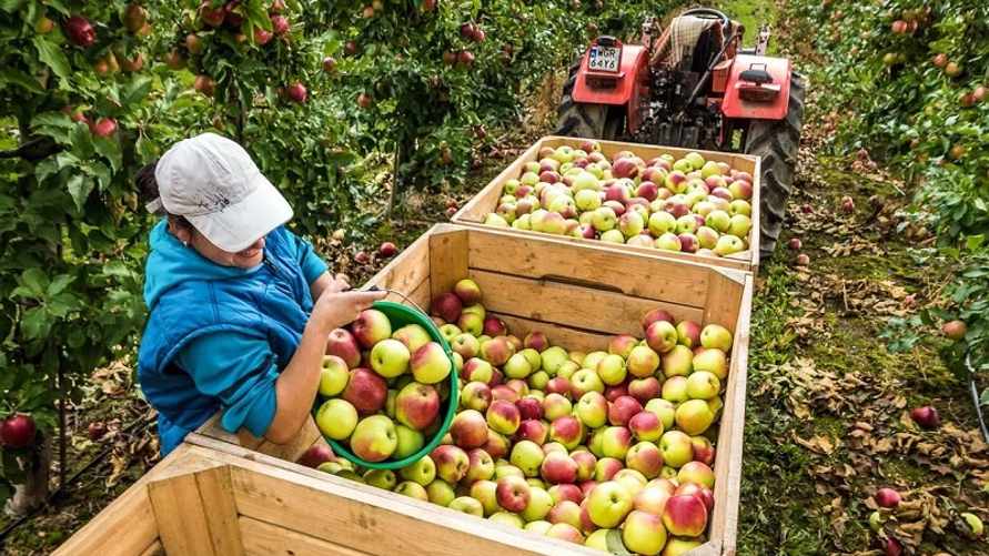 Фото иллюстрационное: Кшиштоф Жучковский / Forum