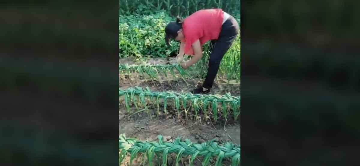 Скриншот с видео