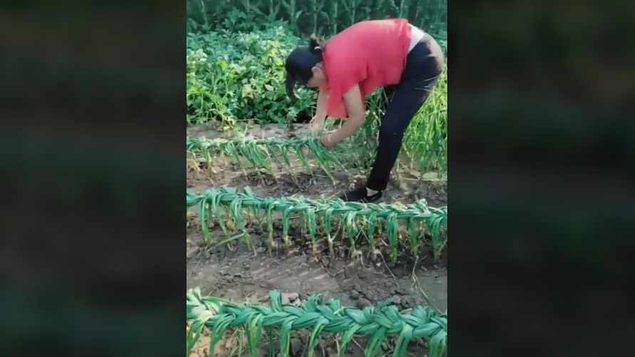 Скриншот с видео