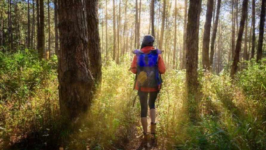 Фото иллюстрационное / joionline.neе