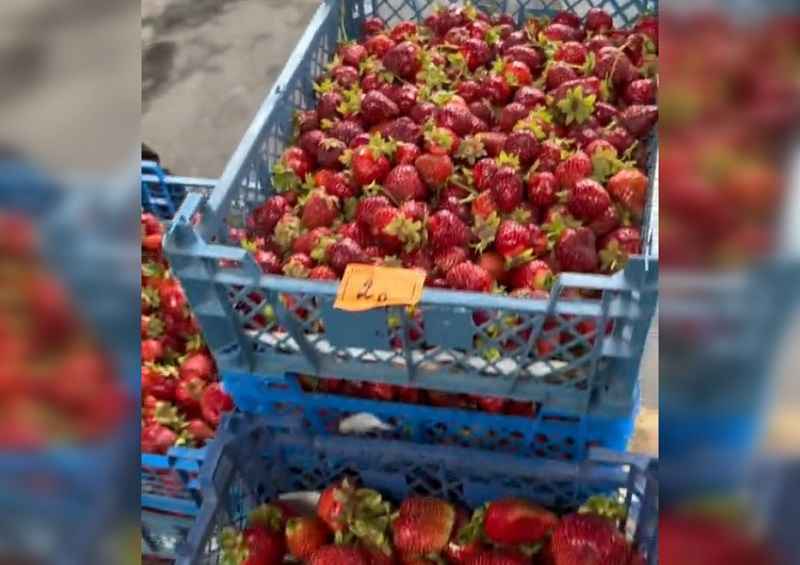 Фото: скриншот видео