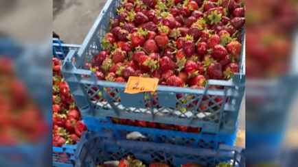 В Беларуси начали продавать клубнику по 2 рубля. Где купить?