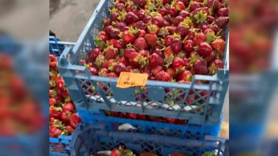 Фото: скриншот видео