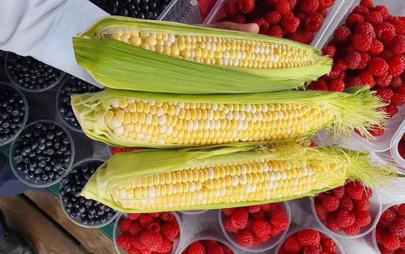 Фото: Instagram / @komarovka.by