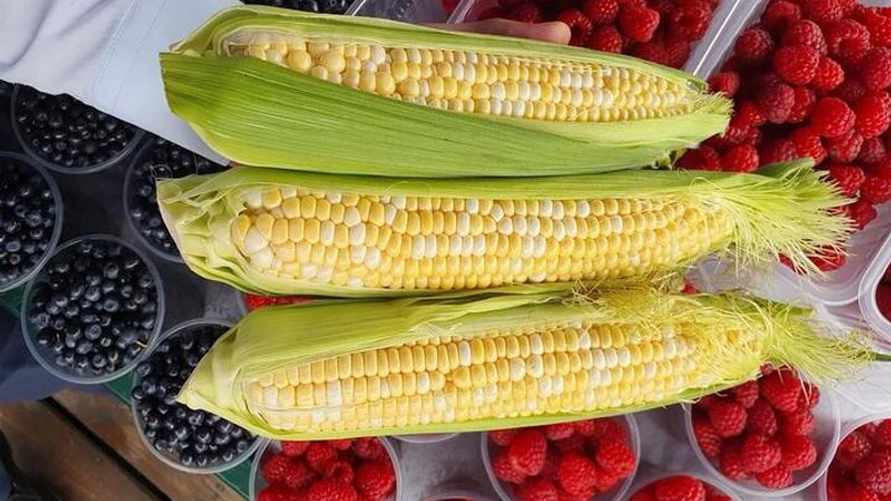 Фото: Instagram / @komarovka.by