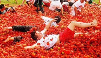 Как получить богатый урожай томатов? Каждый белорус должен потратить 10 копеек уже сейчас