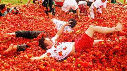 Как получить богатый урожай томатов? Каждый белорус должен потратить 10 копеек уже сейчас