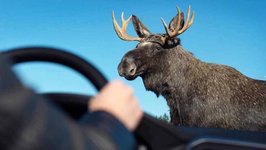 Фото иллюстрационное