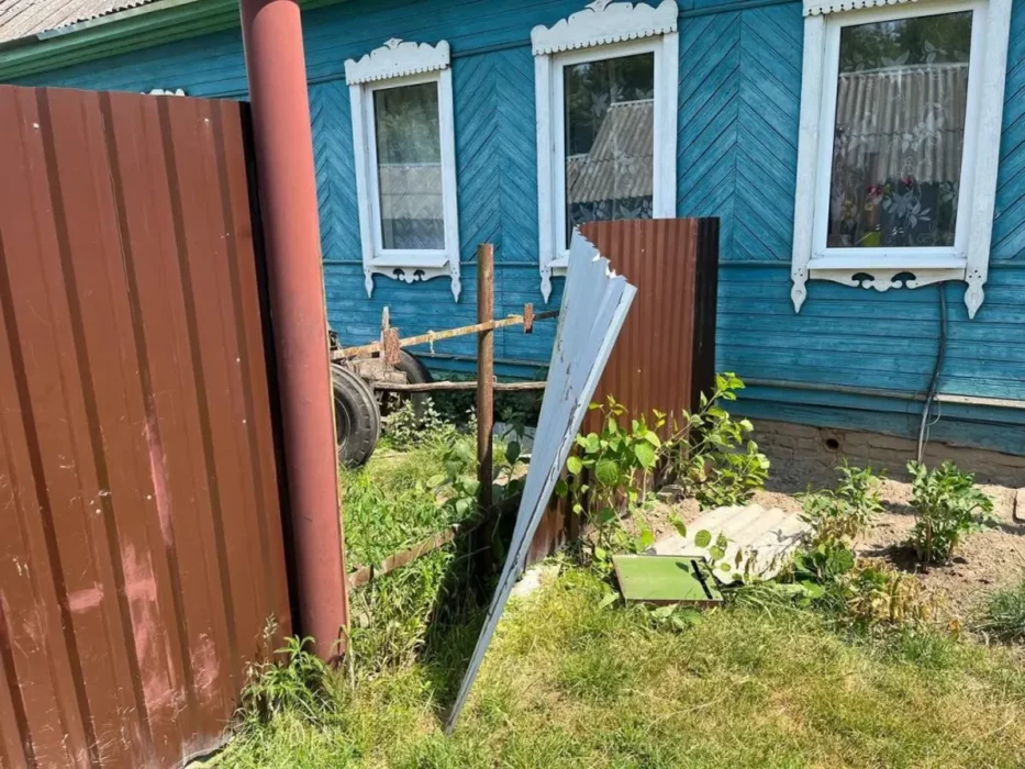 В Могилёвской области лось напал на пенсионеров прямо во дворе дома