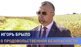 «Будем ждать дождя» — Брыло рассказал об опасности урожаю в Беларуси