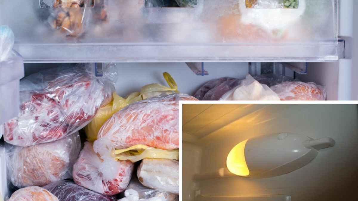 Почему в морозильнике нет света, как в холодильнике? На это есть 4 причины