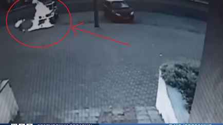 В МВД показали, как в Гродно женщина подожгла милицейский автомобиль