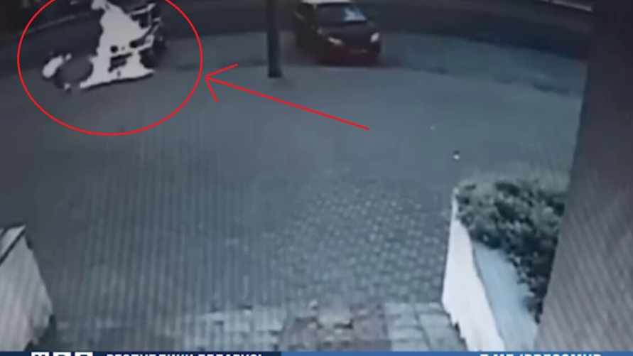 Фото: скриншот видео МВД