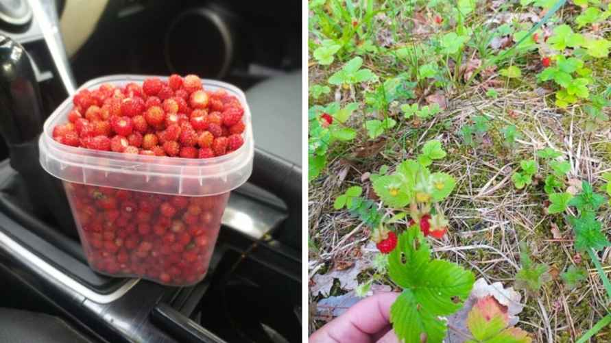 Фото Алеси Чернявской