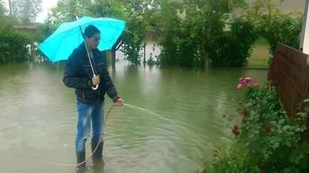 Эти 5 ошибок совершают белорусские огородники после ливней. Рассказываем, как не загубить урожай