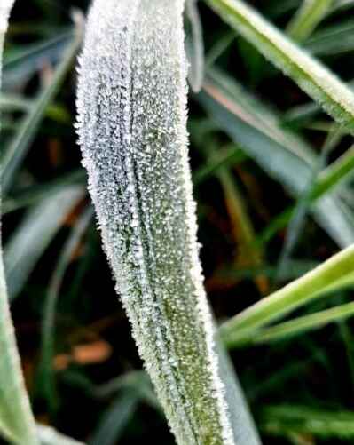 Фото пользователя @Alex в телеграм-канале @nadvorie