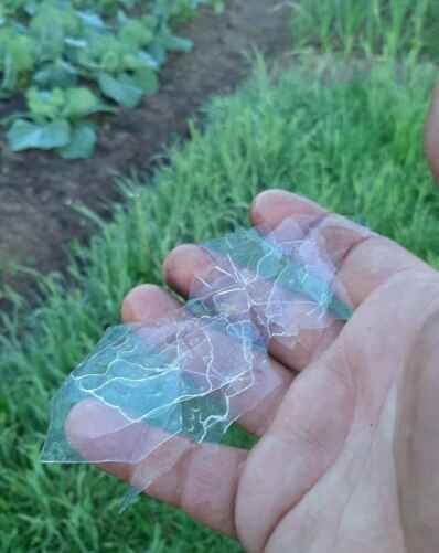 Фото пользователя @Alex в телеграм-канале @nadvorie