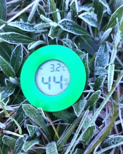 Фото пользователя @Alex в телеграм-канале @nadvorie