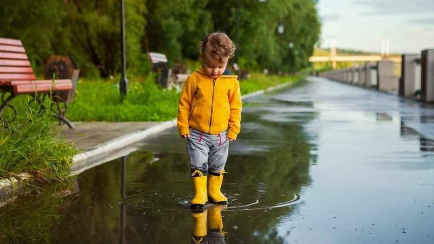 Иллюстрированное фото/соцсети