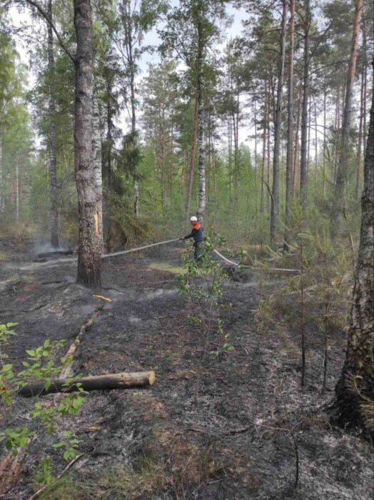 В Минлесхозе показали последствия сухой грозы. Что это такое?