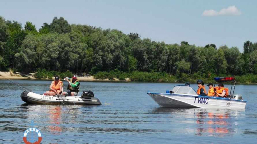 Фото: ОСВОД Гомельской области