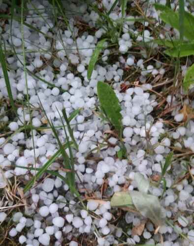 Фото: град в Дрогичине